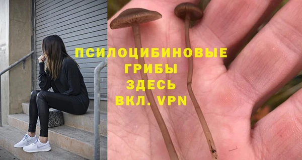 a pvp Алексеевка