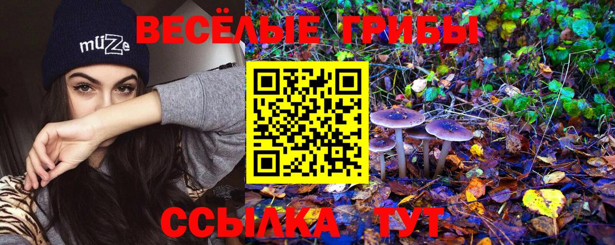 Галлюциногенные грибы мухоморы  Вход с VPN  где продают наркотики  Бирск 